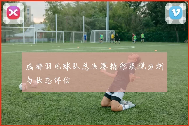 成都羽毛球队总决赛精彩表现分析与状态评估