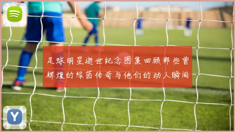 足球明星逝世纪念图集回顾那些曾辉煌的绿茵传奇与他们的动人瞬间