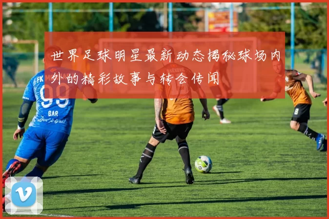 世界足球明星最新动态揭秘球场内外的精彩故事与转会传闻