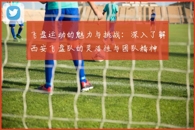 飞盘运动的魅力与挑战：深入了解西安飞盘队的灵活性与团队精神