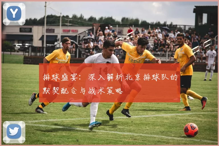 排球盛宴：深入解析北京排球队的默契配合与战术策略