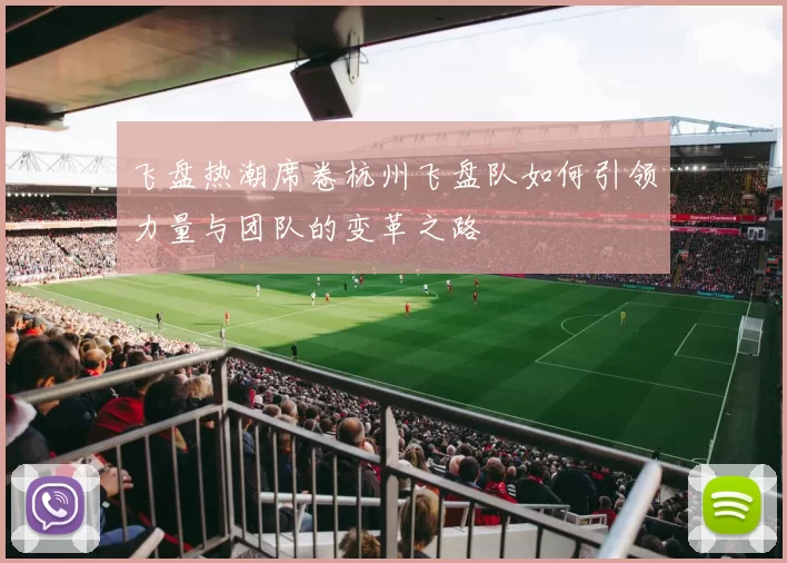 飞盘热潮席卷杭州飞盘队如何引领力量与团队的变革之路