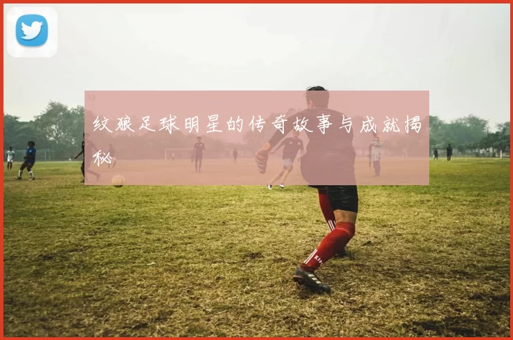 纹狼足球明星的传奇故事与成就揭秘