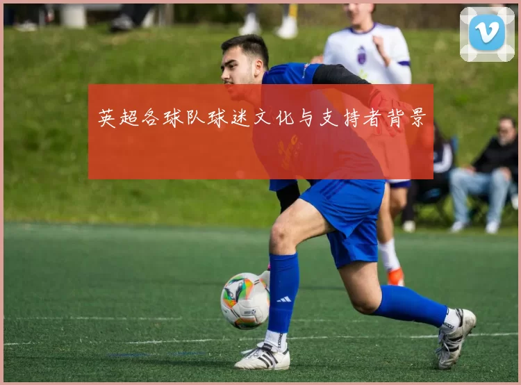 英超各球队球迷文化与支持者背景