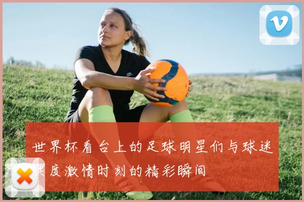 世界杯看台上的足球明星们与球迷共度激情时刻的精彩瞬间