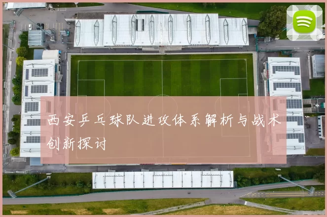 西安乒乓球队进攻体系解析与战术创新探讨