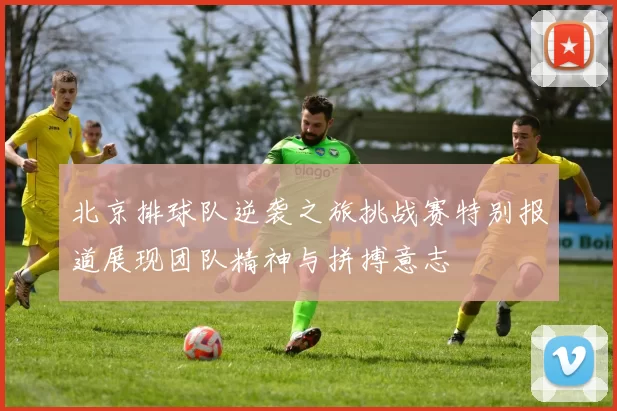 北京排球队逆袭之旅挑战赛特别报道展现团队精神与拼搏意志