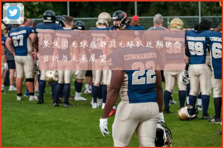 聚焦羽毛球成都羽毛球队近期状态分析与未来展望