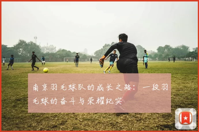 南京羽毛球队的成长之路：一段羽毛球的奋斗与荣耀纪实