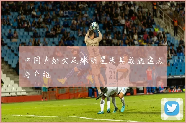 中国卢姓女足球明星及其成就盘点与介绍