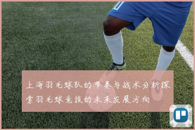 上海羽毛球队的节奏与战术分析探索羽毛球竞技的未来发展方向