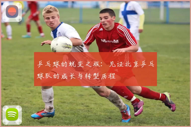 乒乓球的蜕变之旅：见证北京乒乓球队的成长与转型历程