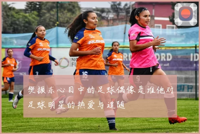 樊振东心目中的足球偶像是谁他对足球明星的热爱与追随