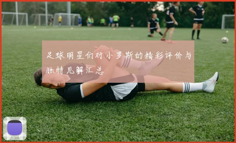 足球明星们对小罗斯的精彩评价与独特见解汇总