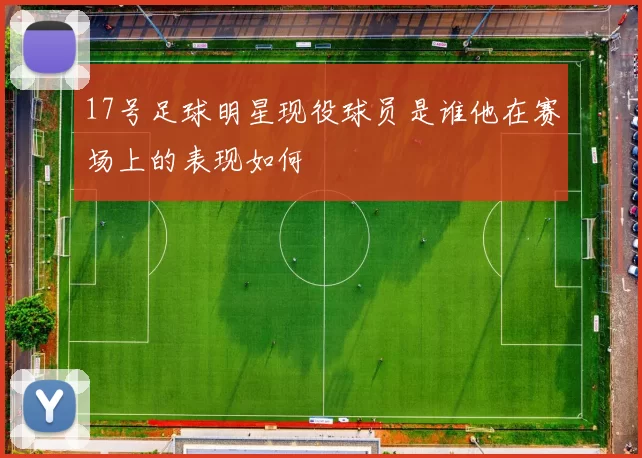 17号足球明星现役球员是谁他在赛场上的表现如何