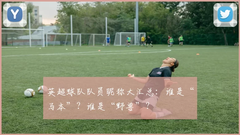 英超球队队员昵称大汇总：谁是“马本”？谁是“野兽”？