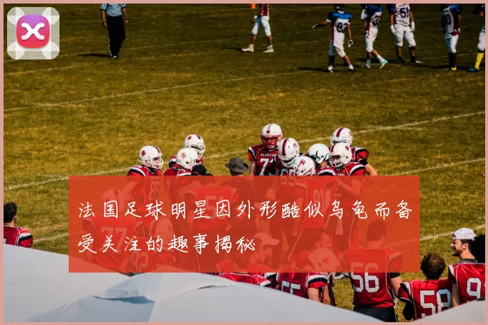 法国足球明星因外形酷似乌龟而备受关注的趣事揭秘
