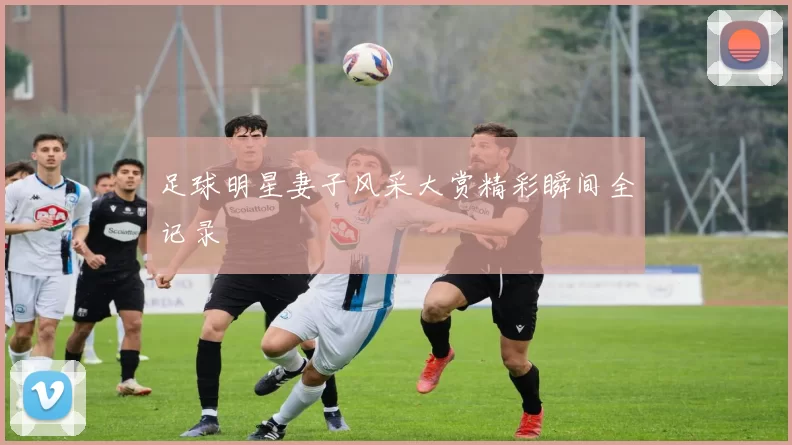 足球明星妻子风采大赏精彩瞬间全记录
