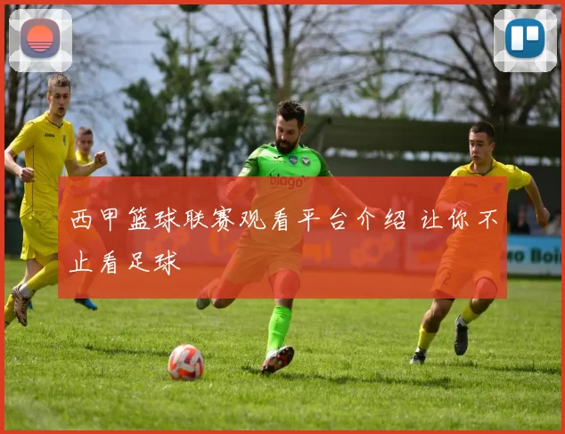 西甲篮球联赛观看平台介绍 让你不止看足球
