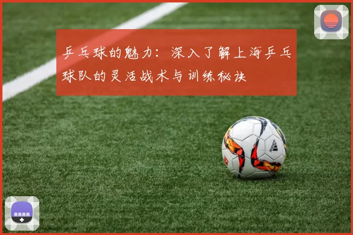 乒乓球的魅力：深入了解上海乒乓球队的灵活战术与训练秘诀