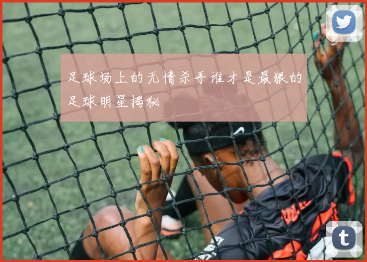 足球场上的无情杀手谁才是最狠的足球明星揭秘