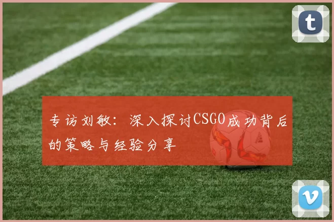 专访刘敏：深入探讨CSGO成功背后的策略与经验分享