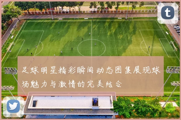 足球明星精彩瞬间动态图集展现球场魅力与激情的完美结合